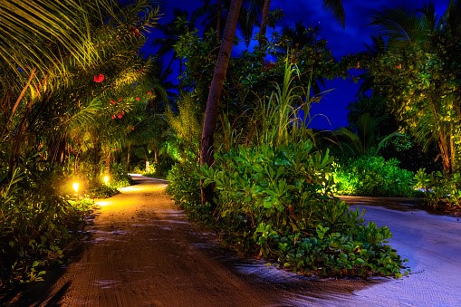 Maldives Resort Nightlife