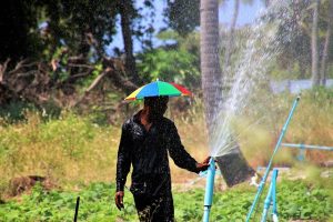 How climate change is affecting food production in Maldives