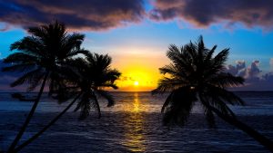 A Luxurious Sojourn at Sun Siyam Vilu Reef, Maldives